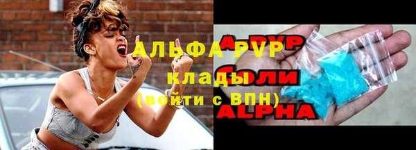 крисы Алзамай