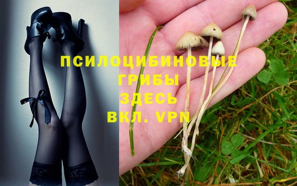 ALPHA-PVP Алексин