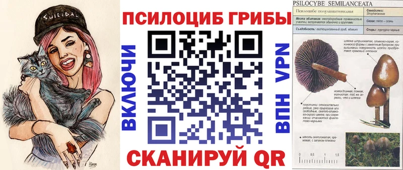 Псилоцибиновые грибы Cubensis Красноуральск