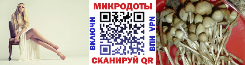 Псилоцибиновые грибы GOLDEN TEACHER  как найти наркотики  Красноуральск 